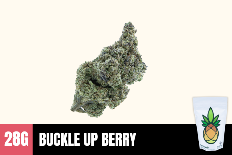 28g Buckle Up Berry (Greenhouse) - Humble Root picture