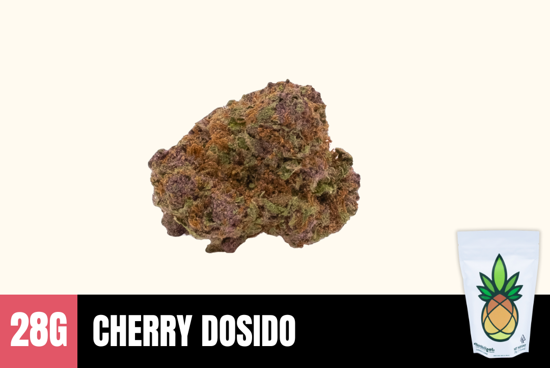 28g Cherry Dosido (Greenhouse) - Humbleroot picture