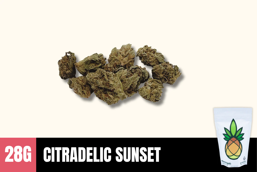 Humble Root - 28g Citradelic Sunset (Smalls) - Humble Root Main Image