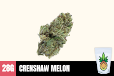 28g Crenshaw Melon (Greenhouse) - Humble Root