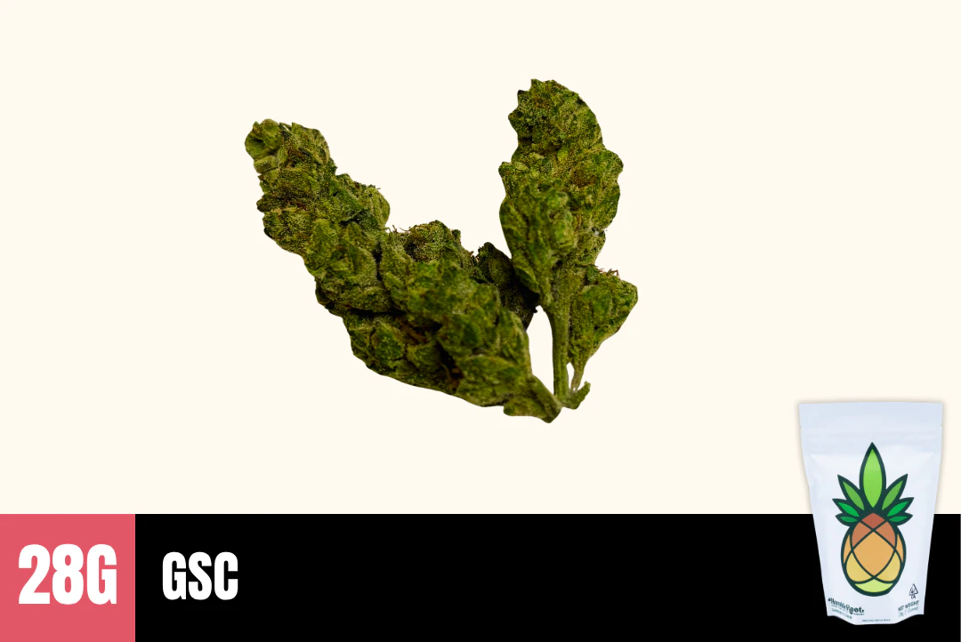 Humble Root - 28g GSC (Greenhouse Smalls) - Humble Root Main Image