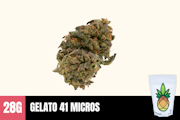 28g Gelato 41 (Greenhouse MICRO Smalls) - Humble Root