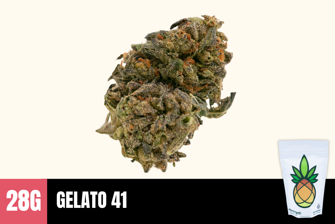 28g Gelato 41 (Greenhouse Smalls) - Humble Root picture