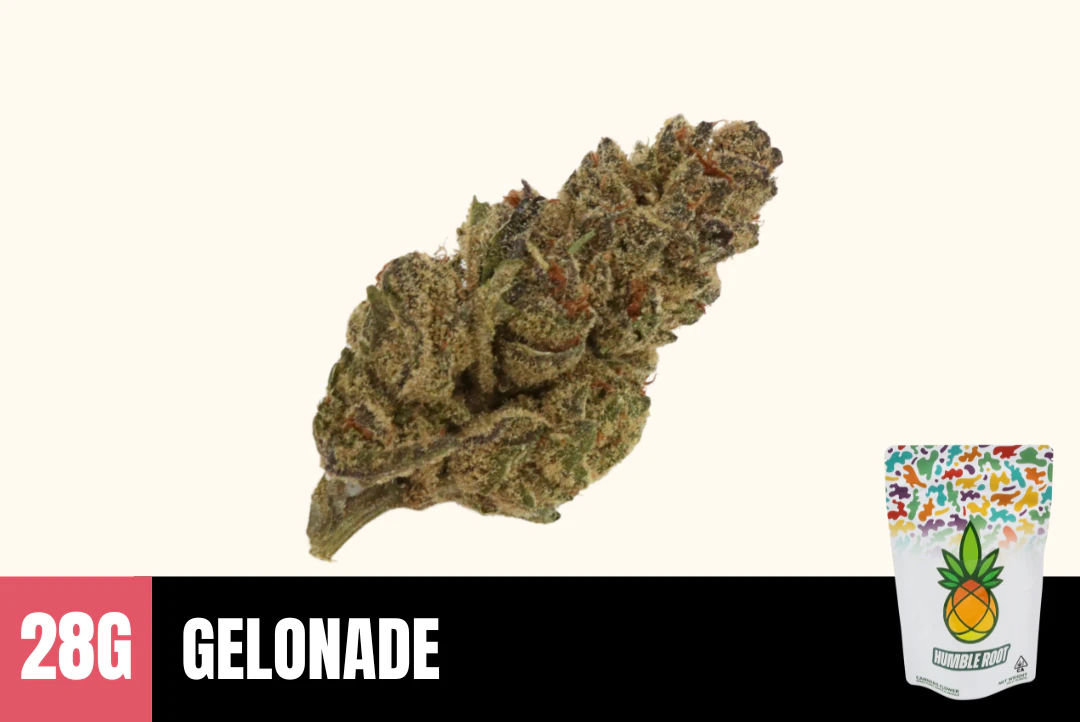Humble Root - 28g Gelonade (Greenhouse) - Humble Root Main Image