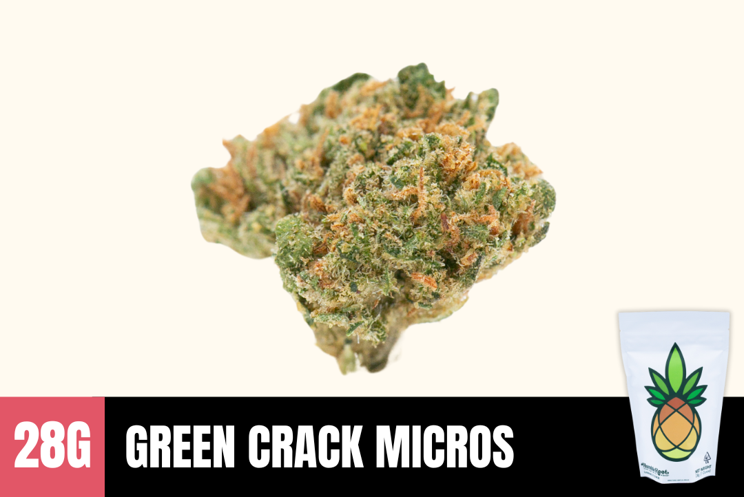 28g Green Crack (Greenhouse MICRO Smalls) - Humble Root picture