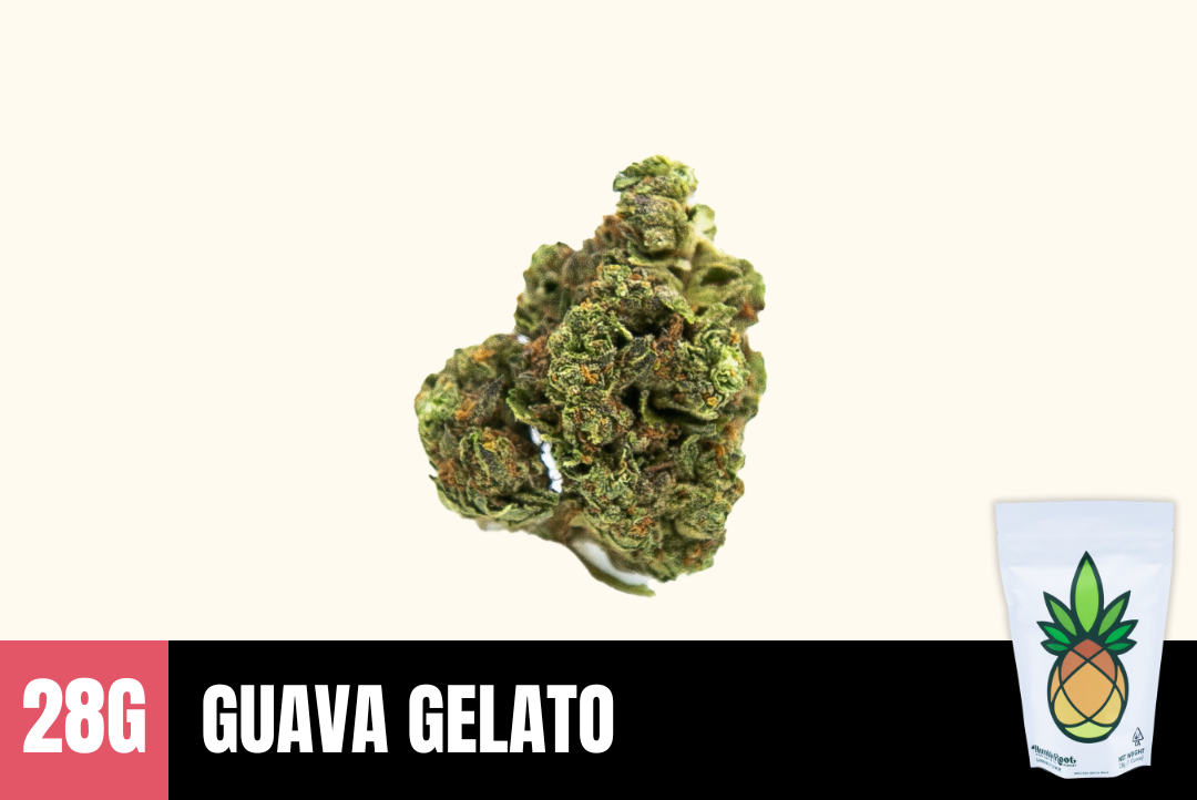 28g Guava Gelato (Greenhouse) - Humble Root picture