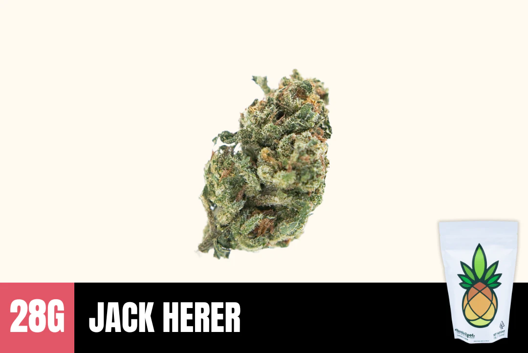 Humble Root - 28g Jack Herer (Greenhouse) - Humble Root Main Image