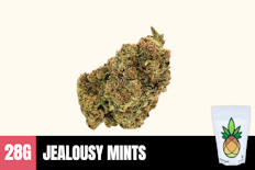 28g Jealousy Mints (Greenhouse) - Humble Root