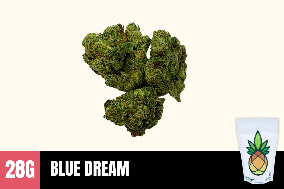 28g Blue Dream (Greenhouse) - Humble Root picture