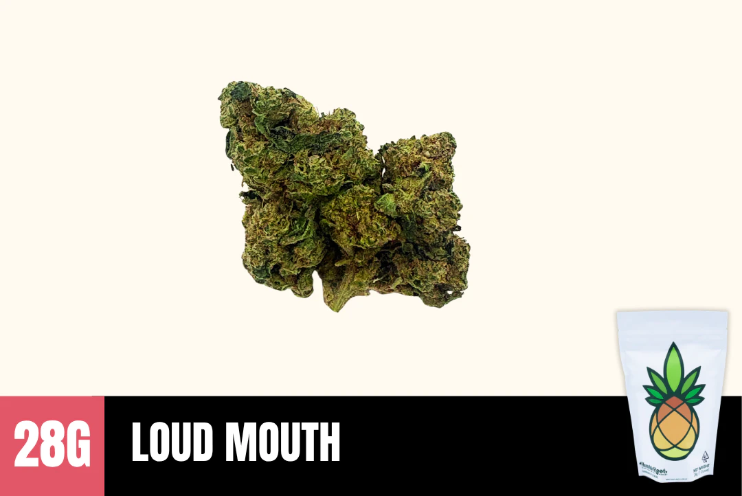 Humble Root - 28g Loud Mouth - Humble Root Main Image