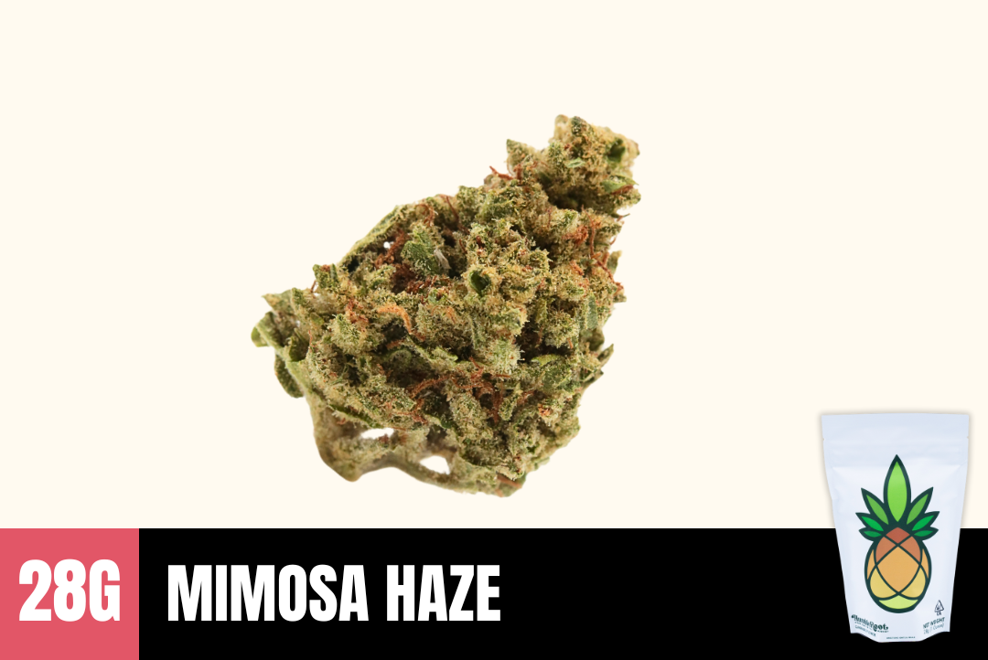 28g Mimosa Haze (Greenhouse) - Humble Root picture