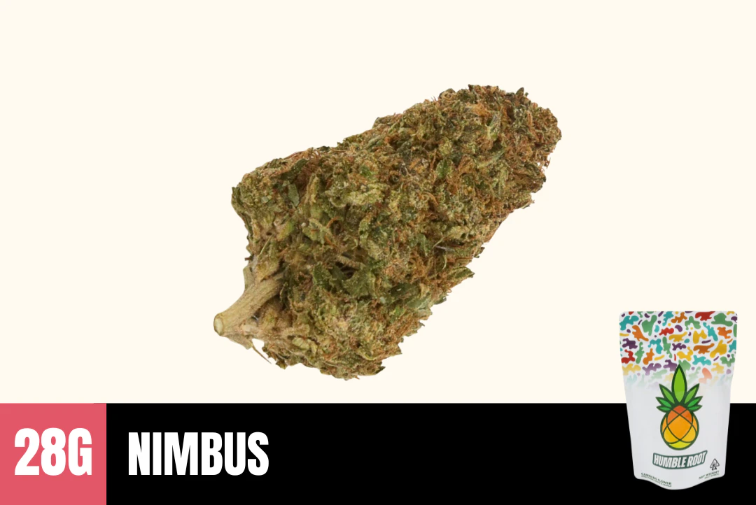 Humble Root - 28g Nimbus (Greenhouse) - Humble Root Main Image