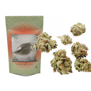 28g Obama Runtz - Blue's Beach