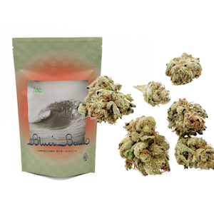 Blue's Beach - 28g Obama Runtz - Blue's Beach