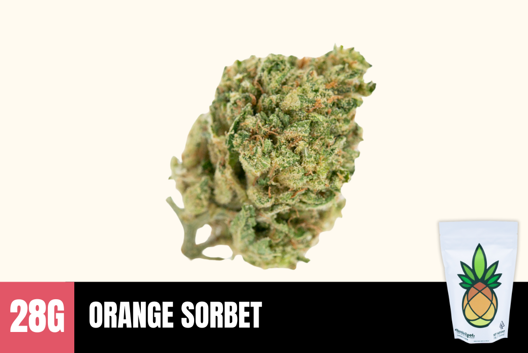 28g Orange Sorbet (Greenhouse) - Humble Root picture