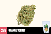 28g Orange Sorbet (Greenhouse) - Humble Root