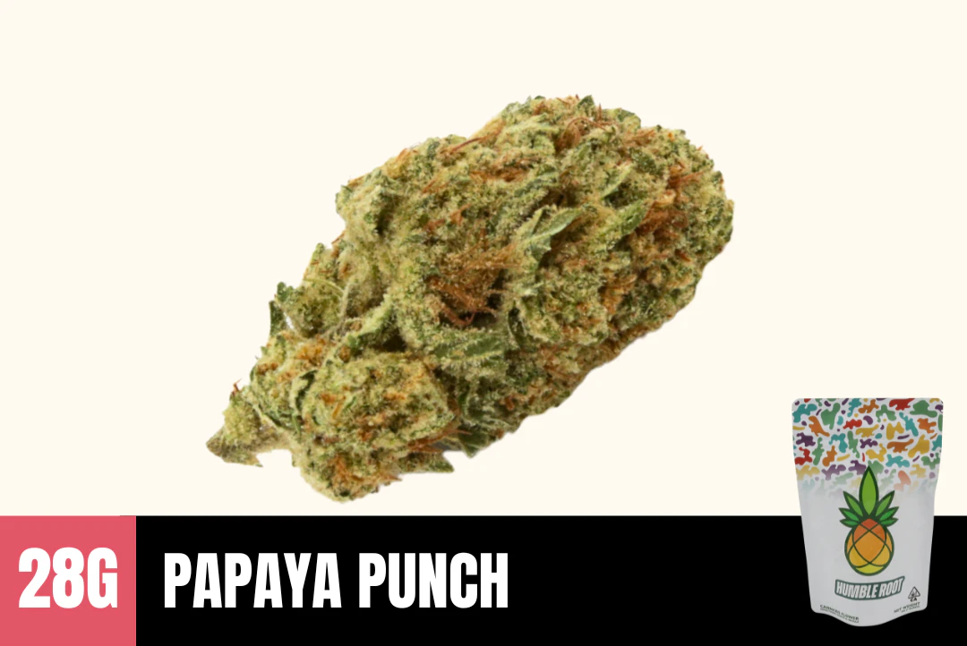 Humble Root - 28g Papaya Punch (Greenhouse) - Humble Root Main Image