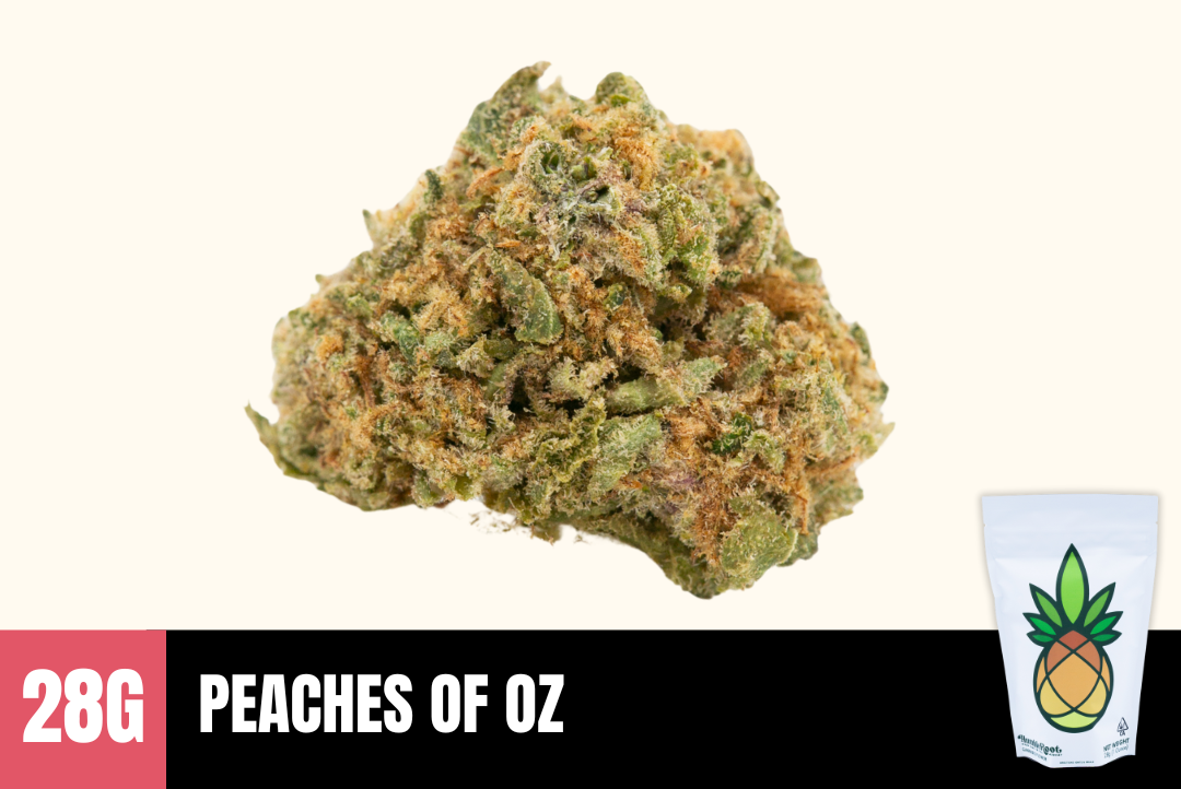 28g Peaches of OZ (Greenhouse) - Humble Root picture
