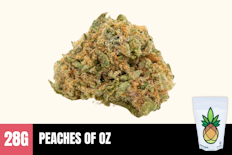 28g Peaches of OZ (Greenhouse) - Humble Root