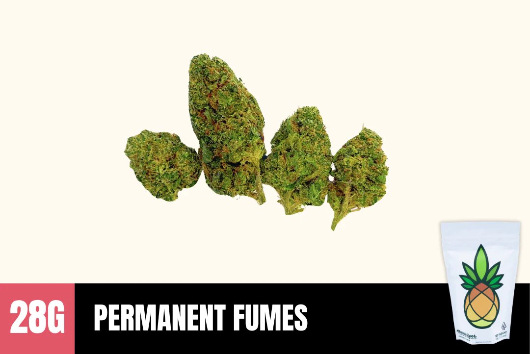 Humble Root - 28g Permanent Fumes (Greenhouse) - Humble Root Main Image
