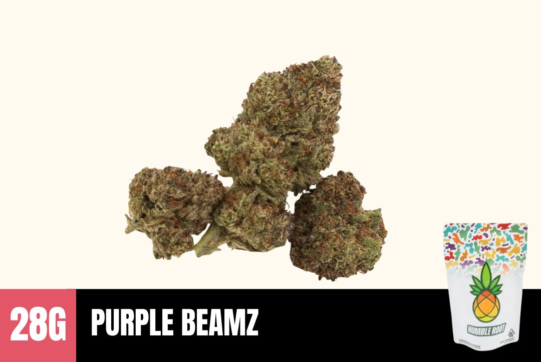 28g Purple Beamz (Greenhouse) - Humble Root picture