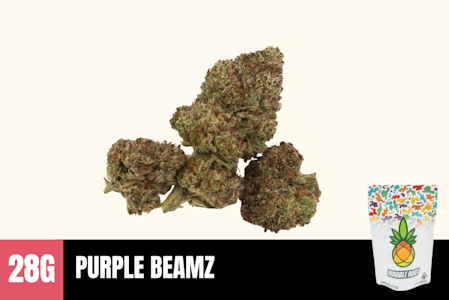 Humble Root - 28g Purple Beamz (Greenhouse) - Humble Root