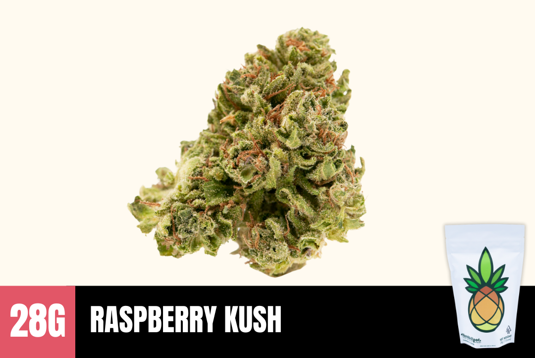 28g Raspberry Kush (Greenhouse) - Humble Root picture