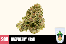 28g Raspberry Kush (Greenhouse) - Humble Root