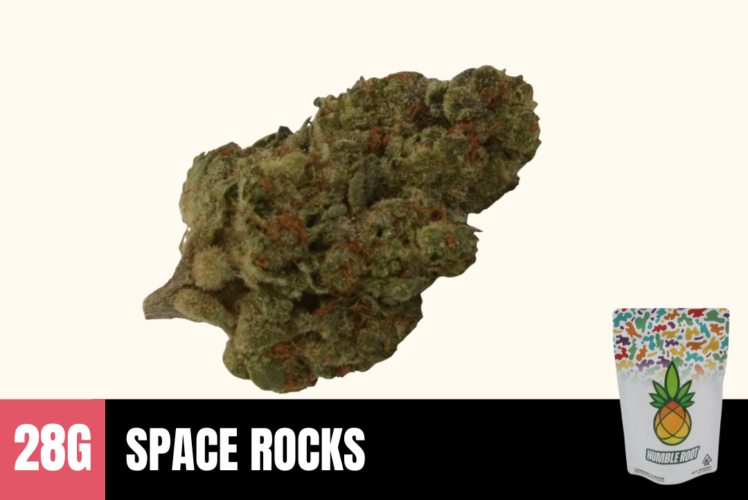 28g Space Rocks (Greenhouse) - Humble Root picture