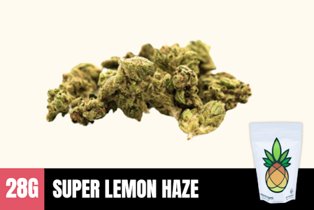 Humble Root - 28g Super Lemon Haze (Greenhouse Smalls) - Humble Root