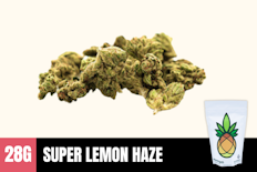 28g Super Lemon Haze (Greenhouse Smalls) - Humble Root