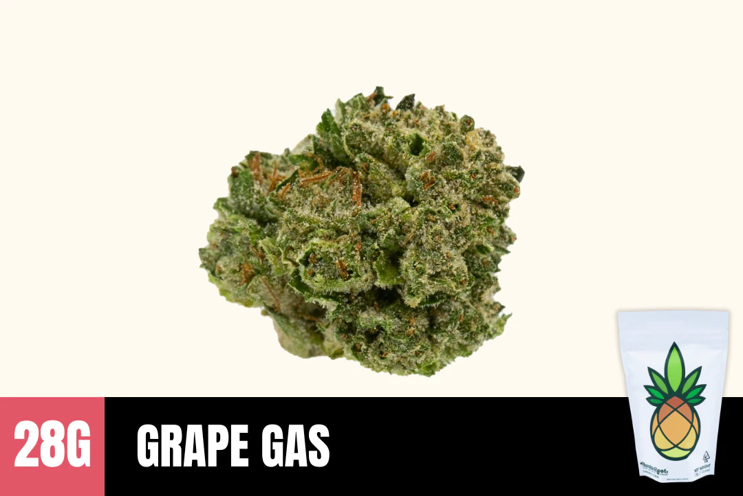 Humble Root - 28g Grape Gas (Greenhouse Smalls) - Humble Root Main Image
