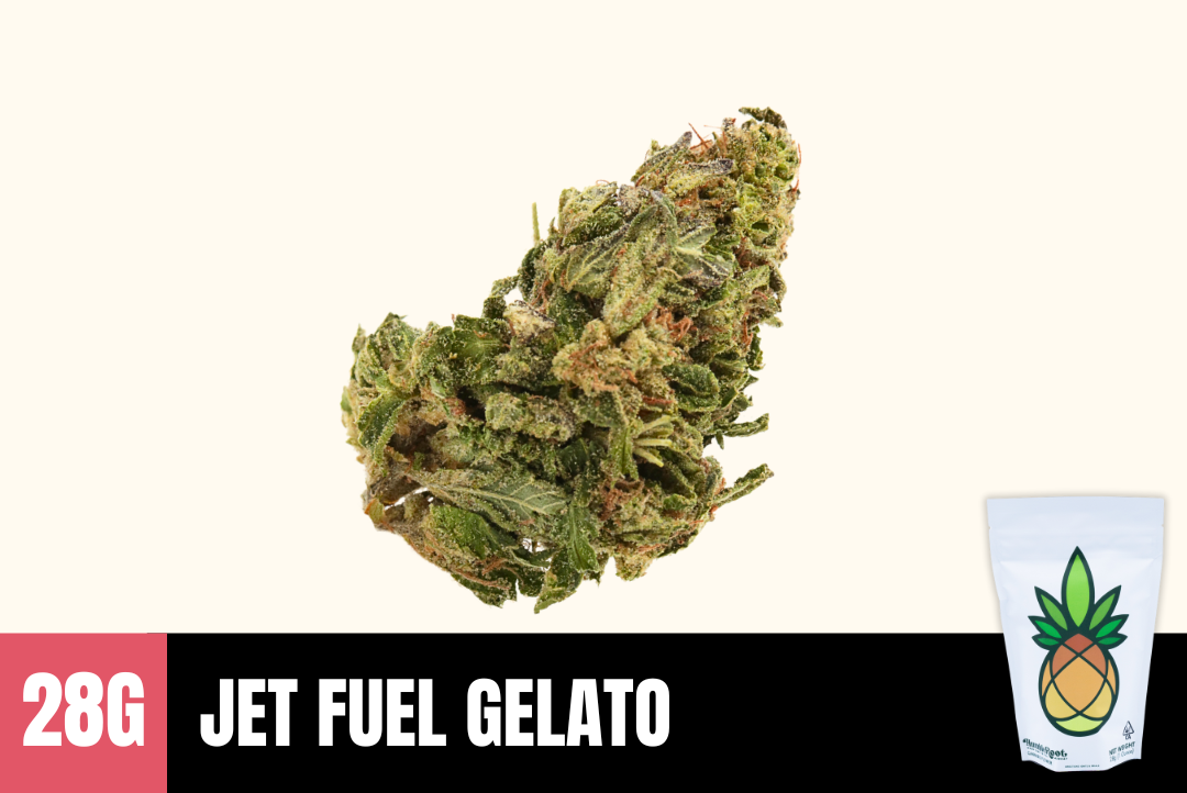28g Jet Fuel Gelato (Greenhouse) - Humble Root picture