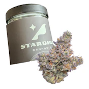 Blueberry Breath - 28g - CMS Gardens