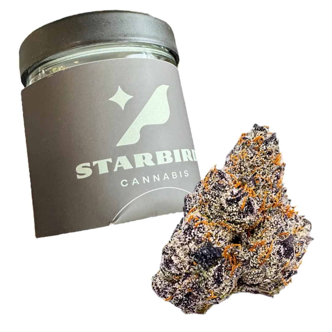 The Cure Company - Gelato - 28g - The Cure Company Main Image
