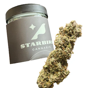 Blue Collar Botany - Grapefruit Magoo - 28g - Blue Collar Botany