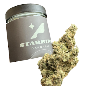 Blue Collar Botany - Maui Magoo - 28g - Blue Collar Botany