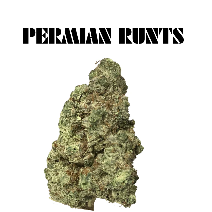 BSD Specialty Farms - BSD - Permian Runtz Deli Flower Main Image