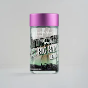 SUPER SILVER HAZE 5PK INFUSED PREROLLS - JETPACKS - 2.5g