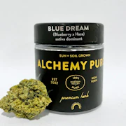 Blue Dream 3.5g Flower - Sativa | Alchemy Pure