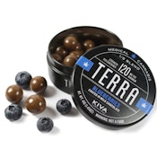 Blueberry | Chocolate Bites | Terra