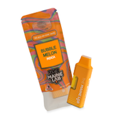 Disposable Vape | Bubble Melon | 2g (Distillate)