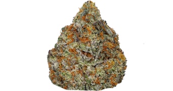 710 LABS - G1000 #13 - 3.5g