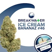 [REC] Flower | Breakwater | Ice Cream Bananaz #46 | 7g 