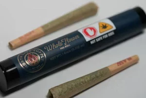 North Lake Supply - Heavy Cream (1g) Flower Pre-Roll 2-Pk Main Image