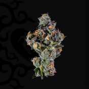 [REC] Grassroots (Dark Heart) | Sugar Kushions | 3.5g Flower