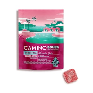 CAMINO - Sour Watermelon Spritz (Single) Gummy - 10mg - Camino