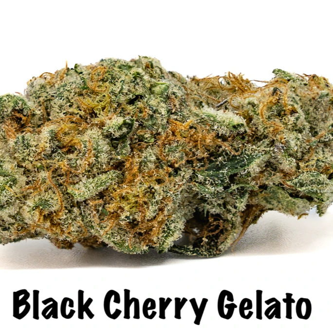 MAS! CANNABIS CO - Black Cherry Gelato (Eighth) Main Image