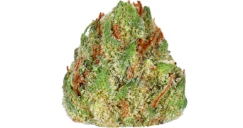 Autumn Brands - Iration Daytrippin - 3.5g