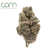 Gelati - 3.5g (IH) - CAM